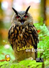 Entdecke die Eulen Cover