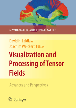 Visualization and Processing of Tensor Fields 