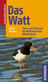 kein Cover