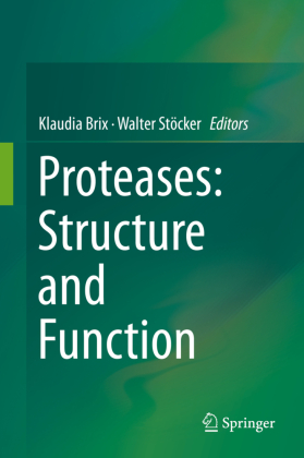 Proteases: Structure and Function 