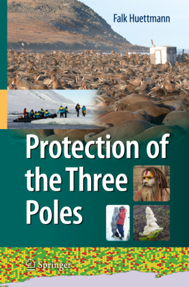 Protection of the Three Poles 