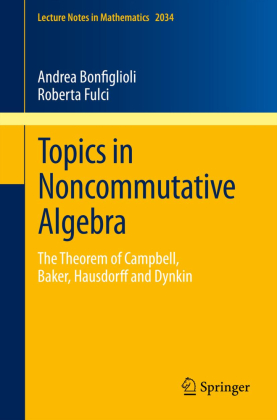 Topics in Noncommutative Algebra 