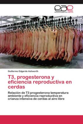 T3, progesterona y eficiencia reproductiva en cerdas 