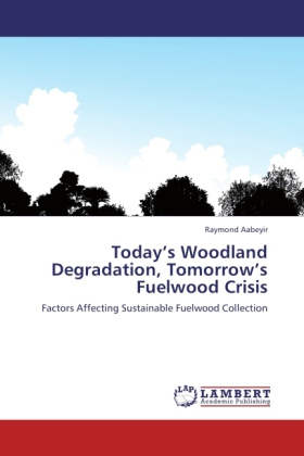Today's Woodland Degradation, Tomorrow's Fuelwood Crisis 