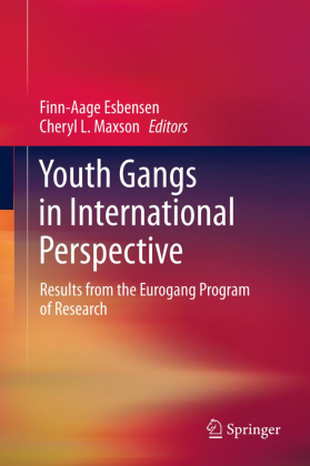 Youth Gangs in International Perspective 