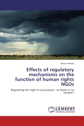 Effects of regulatory mechanisms on the function of human rights NGOs 