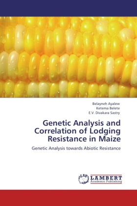 Genetic Analysis and Correlation of Lodging Resistance in Maize 
