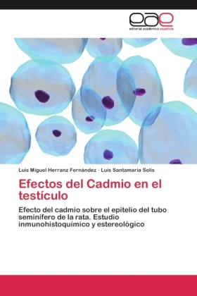 Efectos del Cadmio en el testículo 