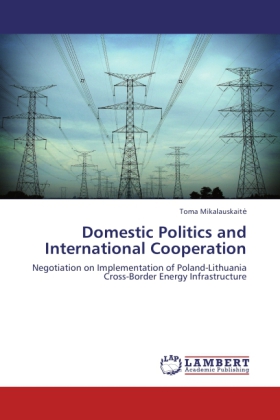 Domestic Politics and International Cooperation 
