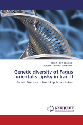 Genetic diversity of Fagus orientalis Lipsky in Iran II 