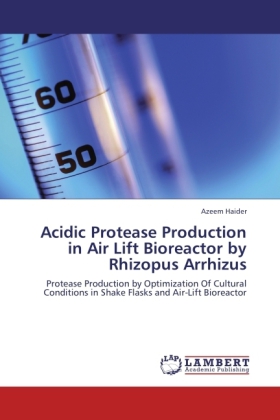 Acidic Protease Production in Air Lift Bioreactor by Rhizopus Arrhizus 