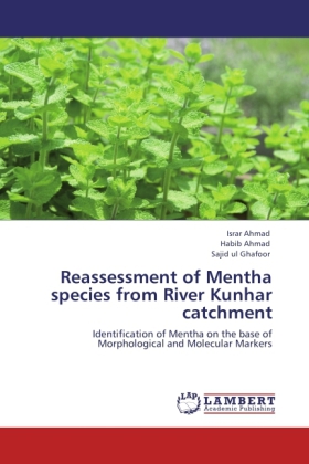 Reassessment of Mentha species from River Kunhar catchment 