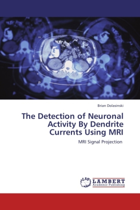 The Detection of Neuronal Activity By Dendrite Currents Using MRI 