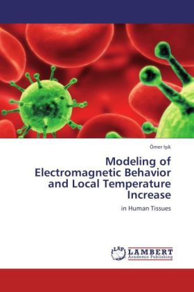 Modeling of Electromagnetic Behavior and Local Temperature Increase 