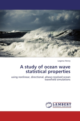 A study of ocean wave statistical properties 