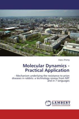 Molecular Dynamics - Practical Application 