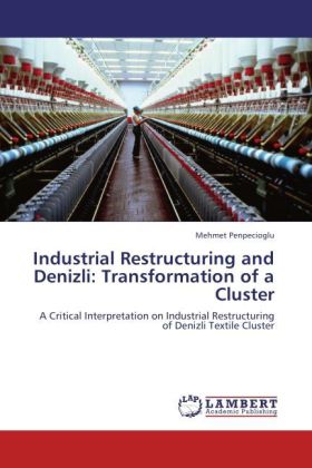 Industrial Restructuring and Denizli: Transformation of a Cluster 