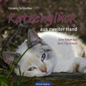 kein Cover