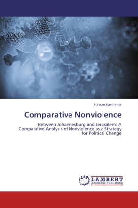 Comparative Nonviolence 
