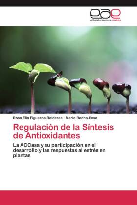 Regulación de la Síntesis de Antioxidantes 