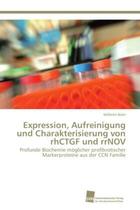 Expression, Aufreinigung und Charakterisierung von rhCTGF und rrNOV 