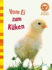 kein Cover