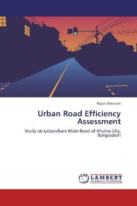Urban Road Efficiency Assessment 