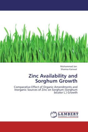 Zinc Availability and Sorghum Growth 