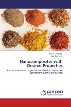 Nanocomposites with Desired Properties 