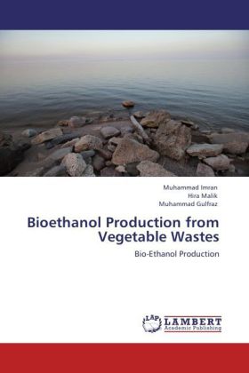 Bioethanol Production from Vegetable Wastes 
