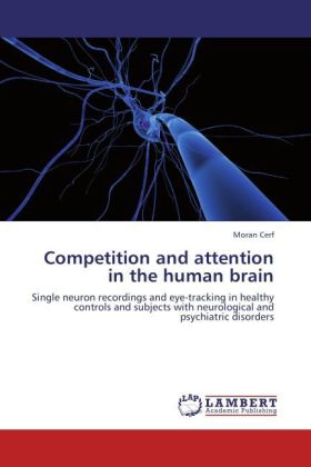 Competition and attention in the human brain 