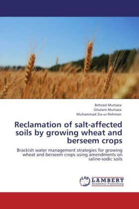 Reclamation of salt-affected soils by growing wheat and berseem crops 