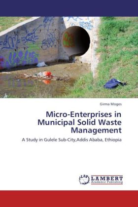 Micro-Enterprises in Municipal Solid Waste Management 