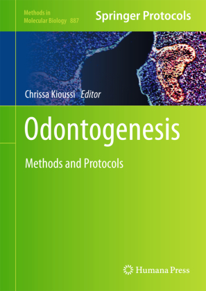 Odontogenesis 