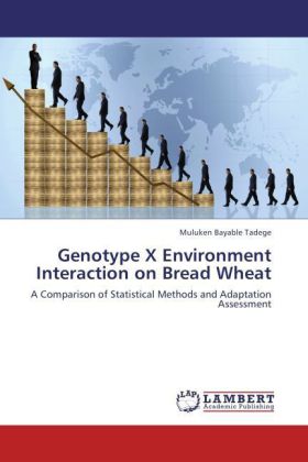 Genotype X Environment Interaction on Bread Wheat 