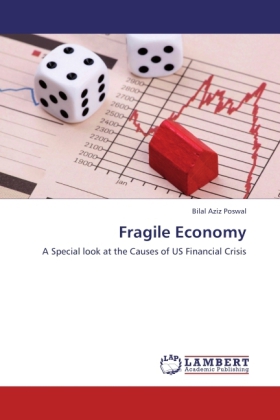 Fragile Economy 