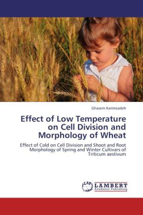 Effect of Low Temperature on Cell Division and Morphology of Wheat 