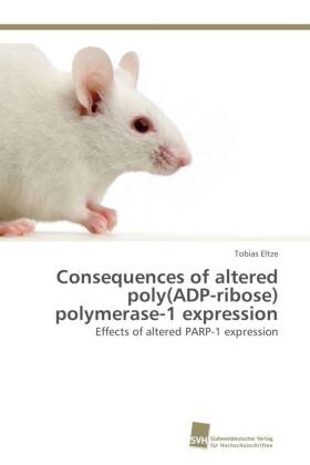 Consequences of altered poly(ADP-ribose) polymerase-1 expression 