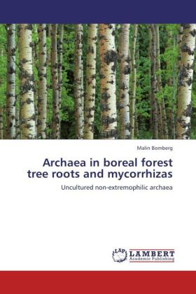 Archaea in boreal forest tree roots and mycorrhizas 