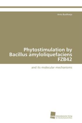 Phytostimulation by Bacillus amyloliquefaciens FZB42 