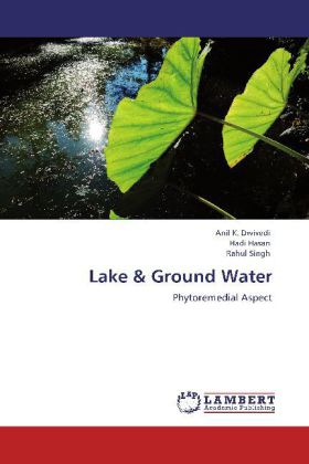 Lake & Ground Water 