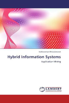 Hybrid Information Systems 