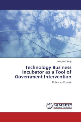 Technology Business Incubator as a Tool of Government Intervention 