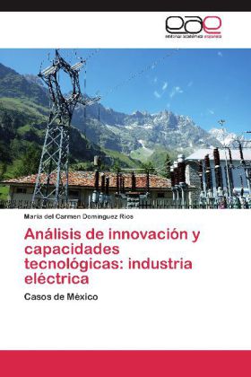 Análisis de innovación y capacidades tecnológicas: industria eléctrica 