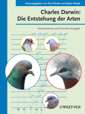 kein Cover