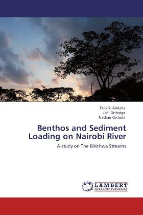 Benthos and Sediment Loading on Nairobi River 