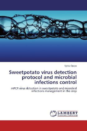 Sweetpotato virus detection protocol and microbial infections control 