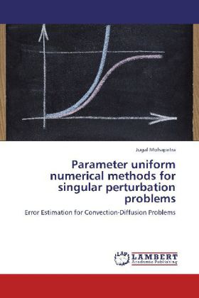 Parameter uniform numerical methods for singular perturbation problems 
