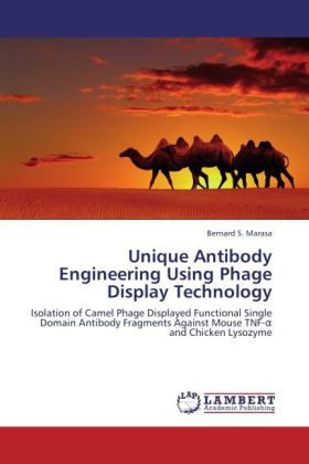 Unique Antibody Engineering Using Phage Display Technology 