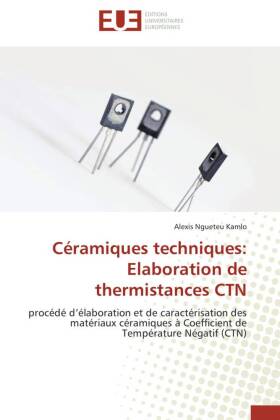 Céramiques techniques: Elaboration de thermistances CTN 